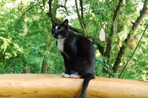 moritz-auf-der-holzbank